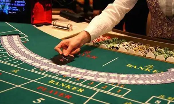 455bet